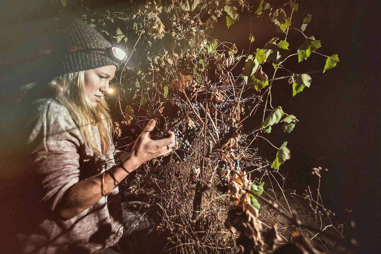 night-harvest-psc.jpg